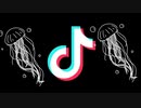 TikTok音源(14)※自分用〈再喝･増加･最初〜最新･最後〜過去〉