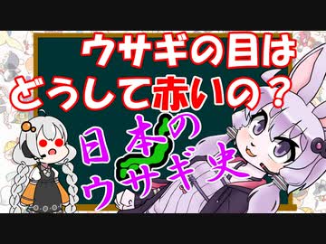 ウサギの目はどうして赤いの？【ウサギの話】