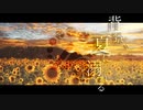 【人力刀剣乱舞】背/景、夏/に溺/れる【山姥切長義】