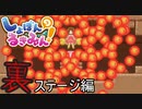 ゆるふわと思ったら超鬼畜裏ステージ存在した！【しょぼんのるきみん】