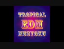 トロピカルEDM無職