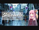 茜ちゃんのひとりフォトウォーク：浅草・柴又【VOICEROID旅行】
