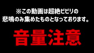 Vtuberびびり集