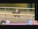 【VOICEROID実況】コトノハウイポ！パート８１【ウイニングポスト9　2020】
