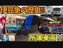 伊豆急の歴史と所属車両を簡単に紹介！！(迷列車で行こう！ふじのくに編第15話)