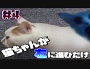 Steam版発売されたので、夏だし日常侵食ホラー つぐのひをやっていく【実況】part4