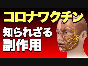 日本人のワクチン体験　Twitterのみなさま　この頃ワクチン後の死亡者が多いな　