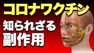 日本人のワクチン体験　Twitterのみなさま　この頃ワクチン後の死亡者が多いな　