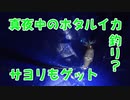 【釣り？動画】深夜にホタルイカとサヨリが捕れちゃいました！