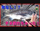地磯で大物チヌゲット！【フカセ釣り】