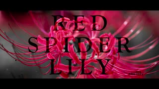 【初音ミク誕生祭2021】RED SPIDER LILY【プロセカNEXT】