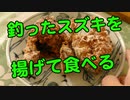 自分で釣ったスズキを揚げて食べてみた！【シーバス釣り動画】