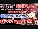 船長推しの必修科目『リラックマシリーズの好き嫌い』を早口で解説するマリン船長と、諦める一味たち【宝鐘マリン/ホロライブ切り抜き】