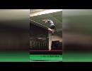 My Video