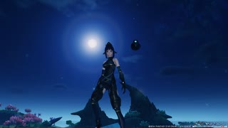 【PSO2NGS】セントラルタワー10回登頂TA　04：22
