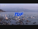 TUFテレビユー福島 クロージング～オープニング