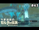 【ゼルダの伝説ブレスオブザワイルド】初対面のゾーラ族にナンパする英傑【実況プレイ】#43