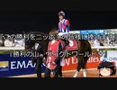 【競馬】ゆっくりさんと未来に語り継ぎたい名馬たち その043【ゆっくり朗読】
