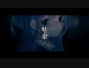 眩暈 / RuLu  歌ってみた【ZENnk】
