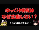 『ゆっくり食闇 nico』咲夜ゆっくりはなぜ定着しないのか？東方の歴史、ゆっくり誕生と咲夜非自機タイミングの不運な合致。３番手といえば咲夜だったあの時代はすでに古典へ。咲夜の復権はあるのか？