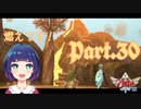 チャレンジ！オルディン火山！！【ゼルダの伝説 スカイウォードソードHD】Part３０
