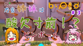 【姉妹実況】＃3 流石に姉妹だから息ぴったり？酸素くださいステージ3【biped】