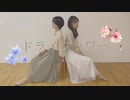 【p.m.plum】ドライフラワー 踊ってみた【オリジナル振付】