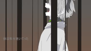 ピーターパン・コンプレックス／flower
