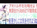 【ウマ娘】無課金でどこまで目指せるか検証！初心者向けに解説有！【初心者向け】