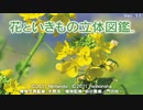 【ニンテンドー3DS】花といきもの立体図鑑 BGM集