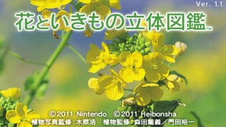 (未使用･未開封品)　花といきもの立体図鑑 - 3DS 7z28pnb 51qW0MYgtaL.jpg_BO30,255,255,