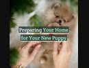Preparing Your Home for Your New Puppy