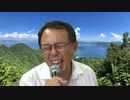 #482_ワクチンに異物混入！？「問題ない」というけれど…。　長尾和宏コロナチャンネル