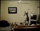 猫たんが大変です(´д`;)