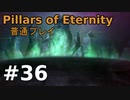 【ゆっくり実況】Pillars of Eternity 普通プレイ36