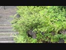 富士山　1日目　part 1