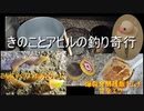 きのことアヒルの釣り奇行　こんにゃくスパイラルワームと発酵残飯キムチエサ