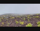 富士山　2日目（下り）　part2