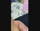 【猫日記□】ちっちゃくても男の子のつむちゃんはどこでも登りたい…