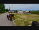 【実況】日本のど真ん中、岐阜の新たな"旅"―『風雨来記4』 第37話