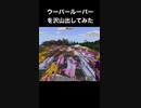 ウーパールーパーを沢山出してみた#shorts