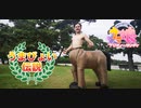 【勇者ハマーダ】ウマ娘になってうまぴょい伝説【踊ってみた】