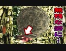 【実況】生物災害から生き延びます。クリス編#13【初代バイオハザード】