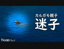 0811B①【カルガモ親子 迷子の駆け引き】雛鳥に翻弄される母。絶滅回避!?捨て子?赤ちゃんカモ。カモの嘴。ハクセキレイ幼鳥→若鳥。ハシボソガラス。　#身近な生き物語　#カルガモ親子　#ハクセキレイ
