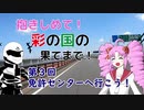 【ついなちゃん車載】抱きしめて！彩の国の果てまで！ 第３回・免許センターへ行こう！【CB250R】