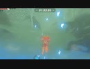 依頼を受けて、転がリンクで盾サーフィンのミニゲームをクリアしてみた