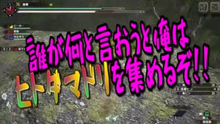 【MHRISE】狩猟防衛軍 廻-kai- part6