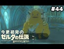 【ゼルダの伝説ブレスオブザワイルド】お前ここおってええんか【実況プレイ】#44