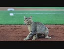 【MLB】2021年メジャーの珍プレー集（8月）
