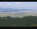 【三盛木瓜】越前国一乗谷城 其の四 一乗谷城山～茶会編 令和3年(2021) 晩夏
